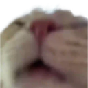 swagsniff